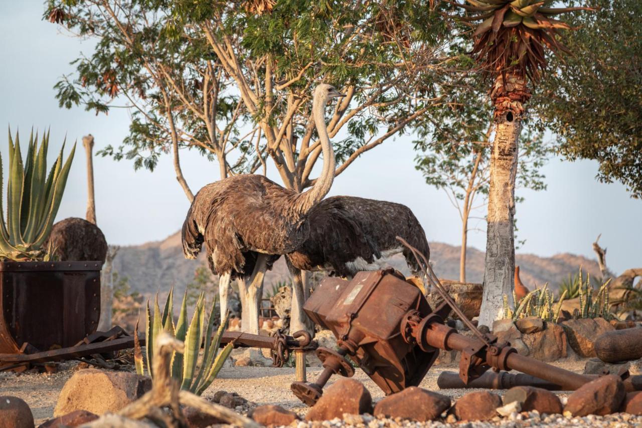 Hohenstein Lodge Usakos المظهر الخارجي الصورة