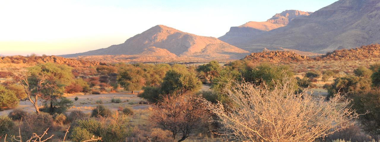 Hohenstein Lodge Usakos المظهر الخارجي الصورة